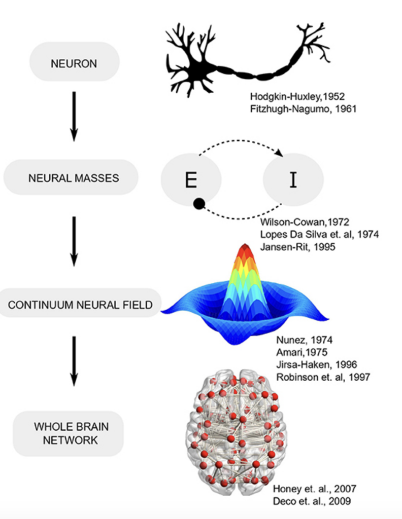 Evolution of computational neuroscience models from single neurons to network models. 